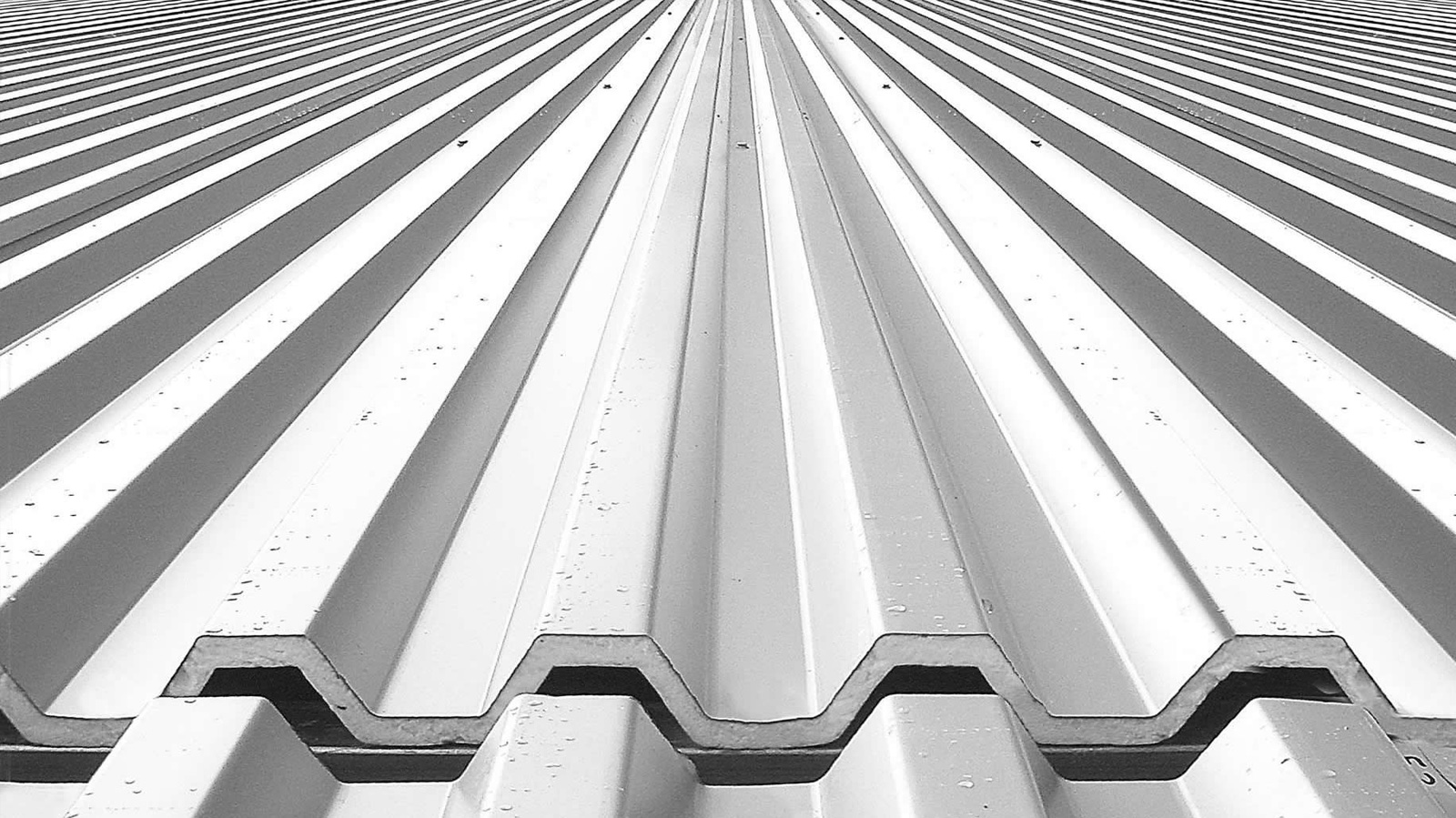 Metal Roofing